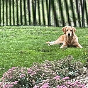 Meet your Posher, Marla